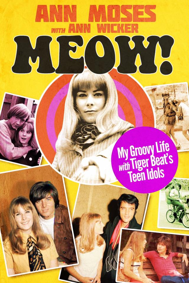 Meow! My Groovy Life with Tiger Beat's Teen Idols